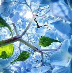 Meet your Posher, De